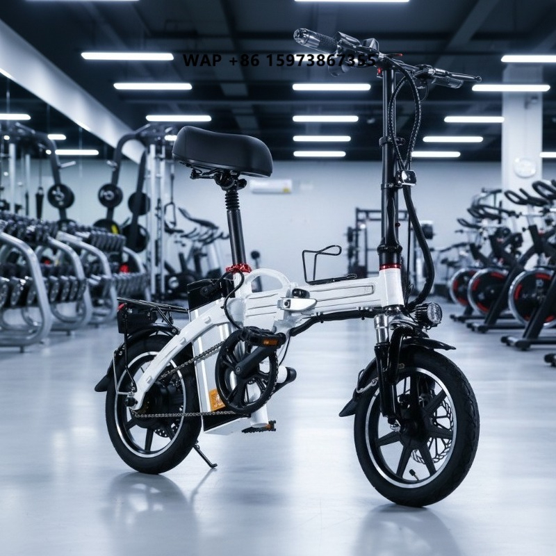 Commuting With Bike - Mini Folding Electric Bike Factory Supply