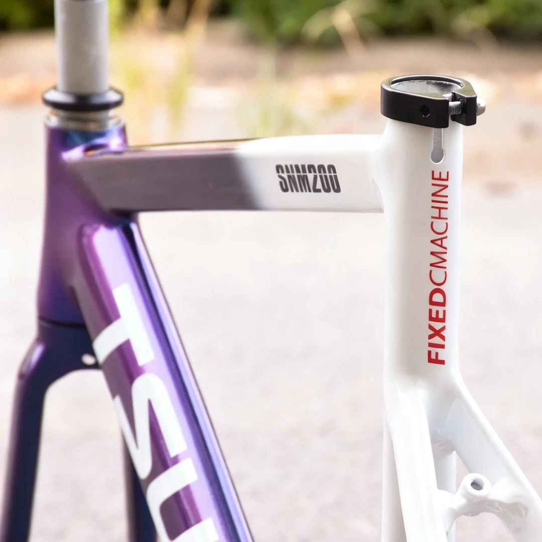 SNM200 Aluminum Alloy Fixed Ge - Cycling Commute Gear 评论和价格