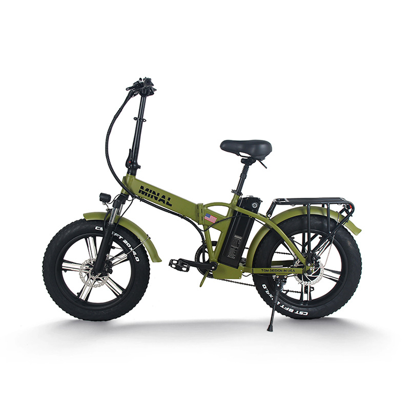 48V 350W 10.5Ah FTC200 Electri - Cycling Commute Gear 评论和价格