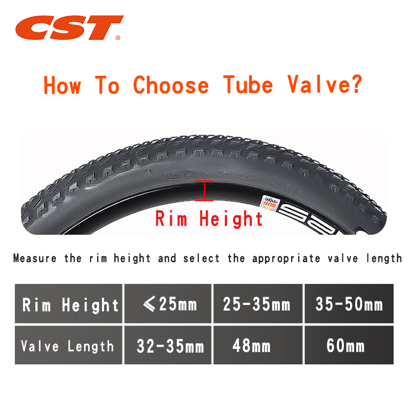 2PCS CST Bike Inner Tubes 20in - Inner Tube 700C 评论和价格